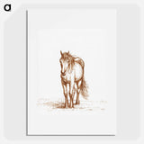 Standing horse - Jean Bernard Poster.