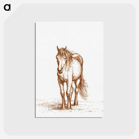 アートポストカード-Standing horse - ジャン ベルナール Postcard.