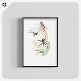 1-84_John-Gould_blk-crop