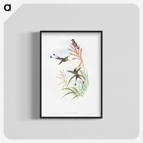 1-84_John-Gould_blk-crop