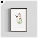 1-84_John-Gould_blk