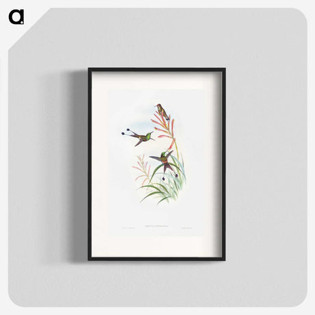 1-84_John-Gould_blk