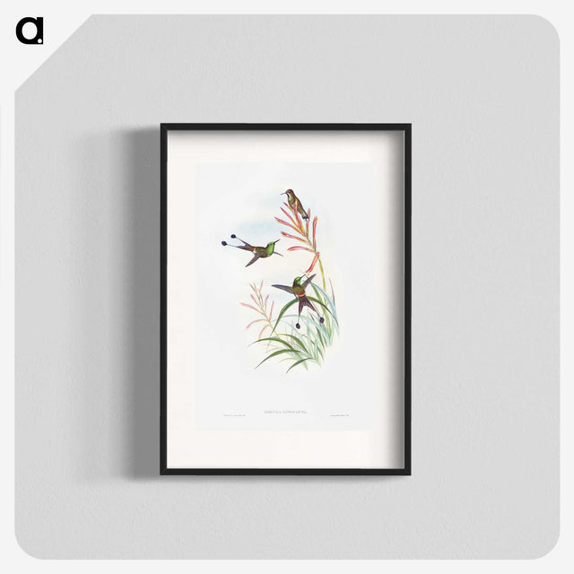1-84_John-Gould_blk
