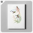 1-84_John-Gould_canvas