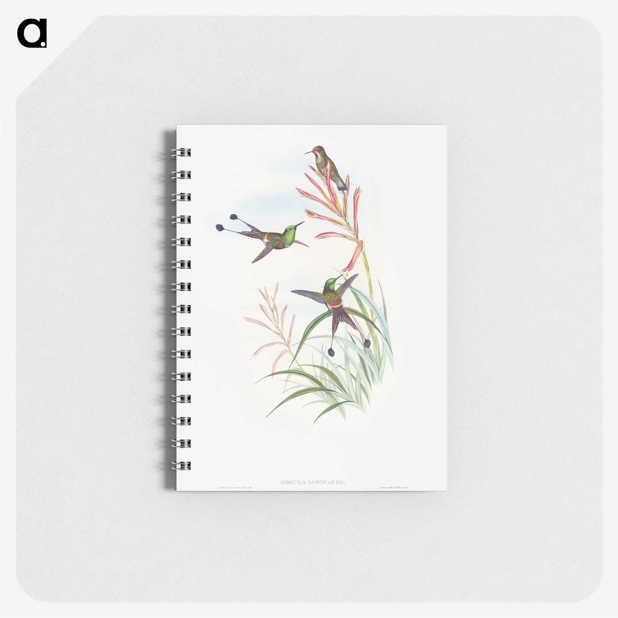 1-84_John-Gould_memo