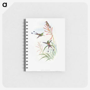 1-84_John-Gould_memo
