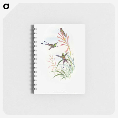 1-84_John-Gould_memo