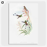 1-84_John-Gould_picture-crop