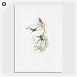 1-84_John-Gould_picture