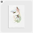 1-84_John-Gould_postcard