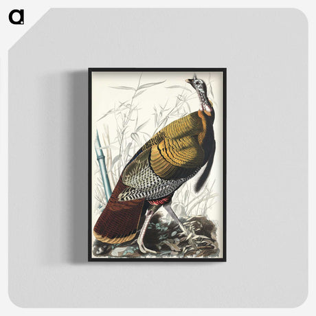 1-84_John-James-Audubon_blk-crop