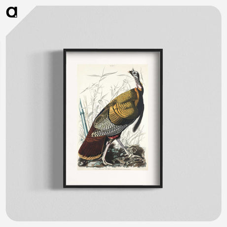 1-84_John-James-Audubon_blk