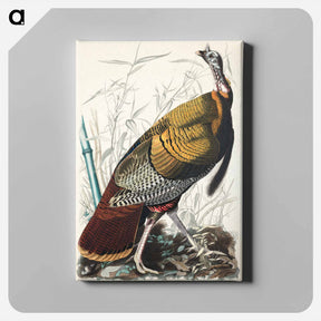 アートパネル-Wild Turkey or Great American Cock
 - ジョン ジェームス オーデュボン Canvas.