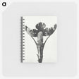 1-84_Karl-Blossfeldt_memo