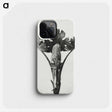 1-84_Karl-Blossfeldt_phone