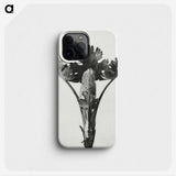 1-84_Karl-Blossfeldt_phone