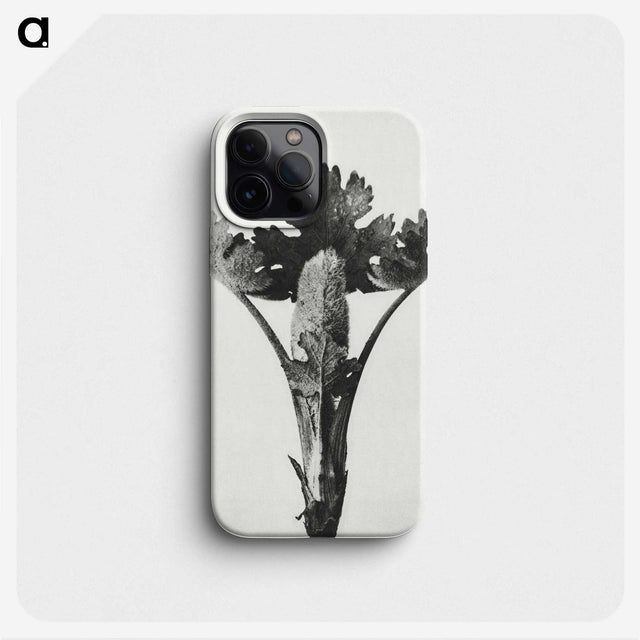 1-84_Karl-Blossfeldt_phone