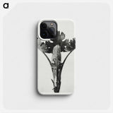 Macleya Cordata (Five–Seeded Plume-Poppy) - Karl Blossfeldt Phone Case.