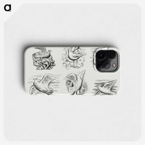 1-84_Leo-Gestel_phone