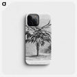 1-84_Les-Palmiers-Histoire-Iconographique_phone