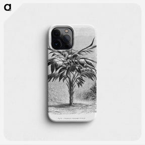 1-84_Les-Palmiers-Histoire-Iconographique_phone