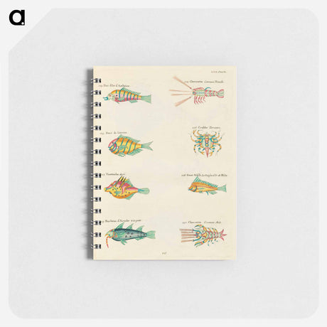 アートメモ帳-Moluccan Marine Life
 - ルイ ルナール Memo.