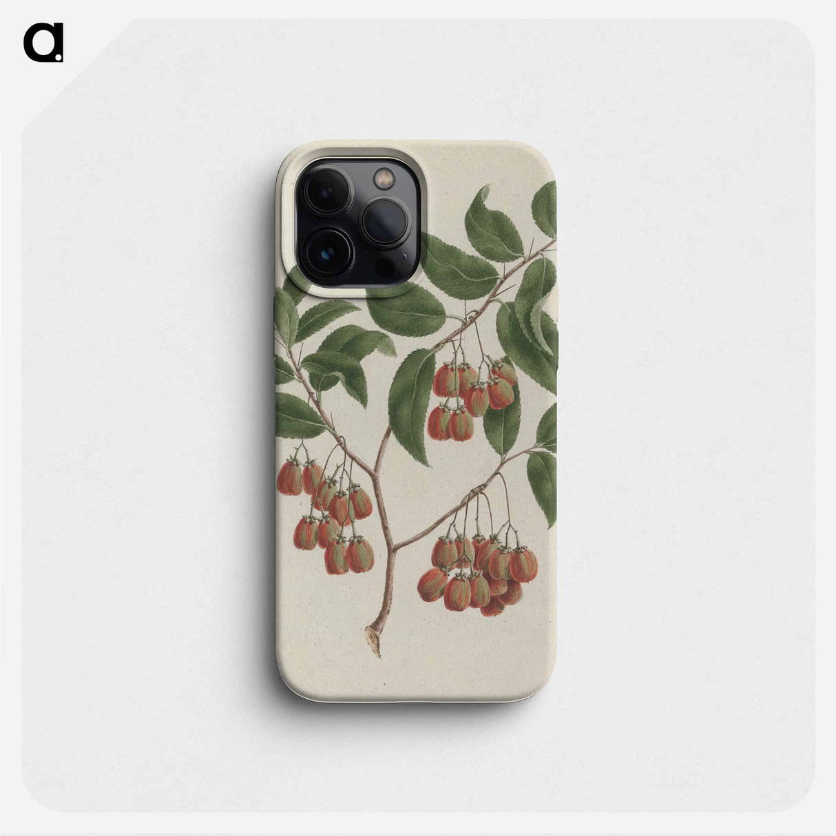 Maytenus arguta
 - ルイージ バルガーニ Phone Case.