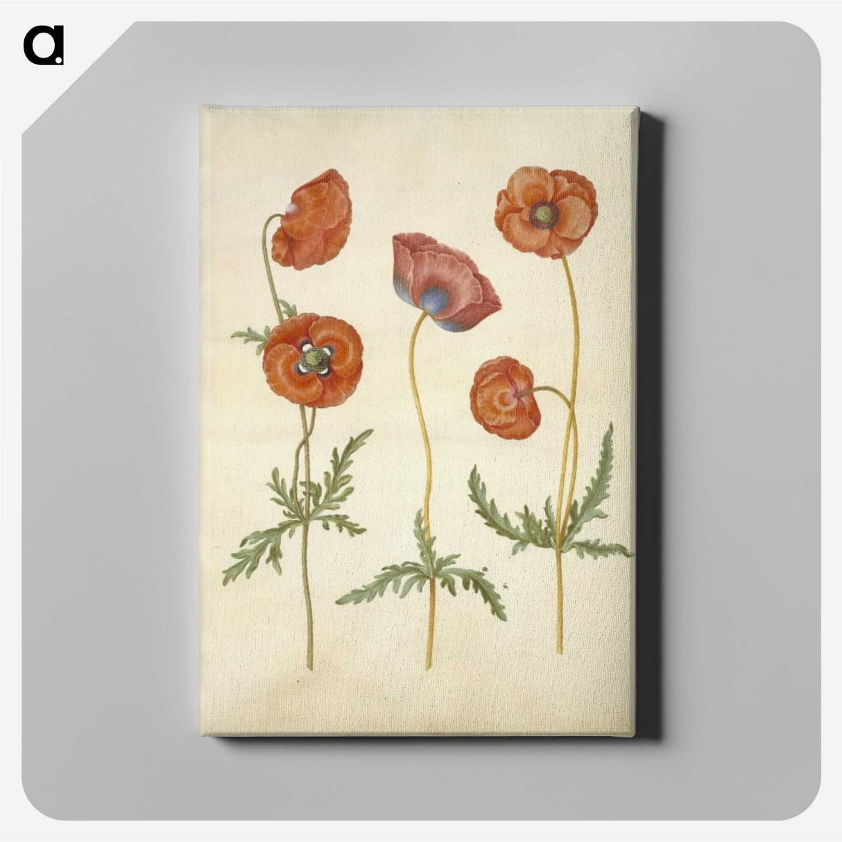1-84_Maria-Sibylla-Merian_canvas