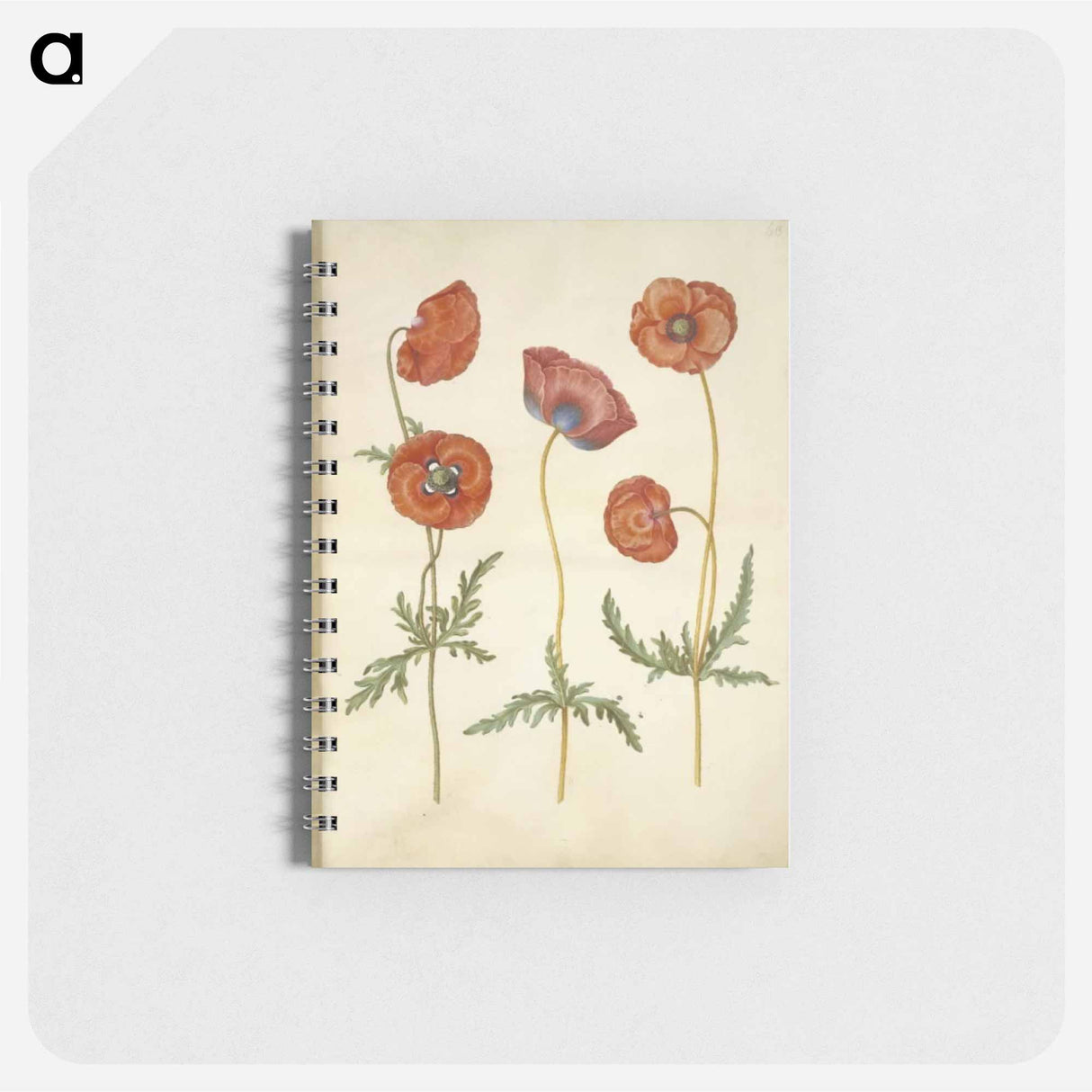アートメモ帳-Papaver rhoeas
 - マリア ジビーラ メーリアン Memo.