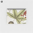 1-84_Mark-Catesby_memo