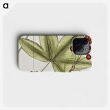 1-84_Mark-Catesby_phone