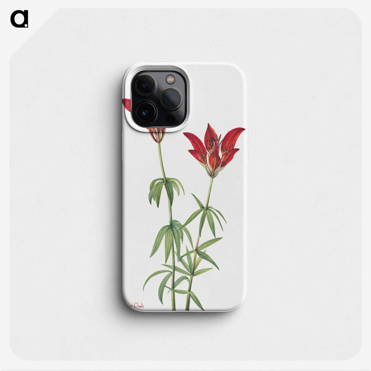 1-84_Mary-Vaux-Walcott_phone