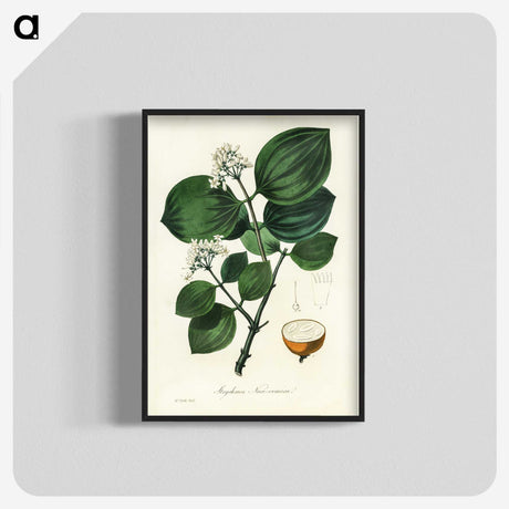 1-84_Medical-Botany_blk-crop