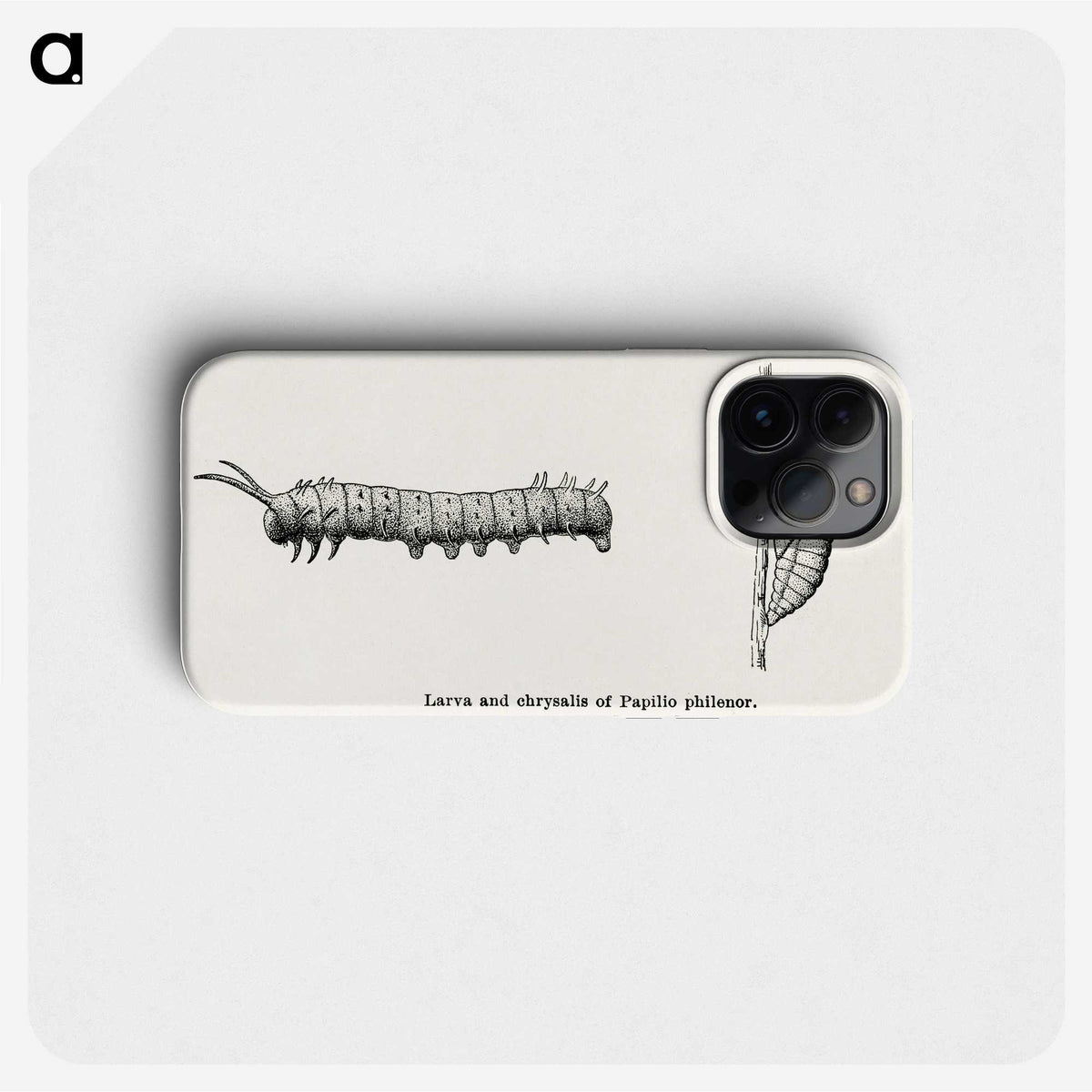1-84_Moths-and-Butterflies-of-the-United-States_phone