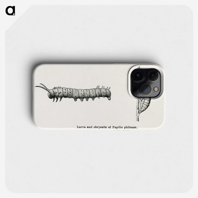 1-84_Moths-and-Butterflies-of-the-United-States_phone