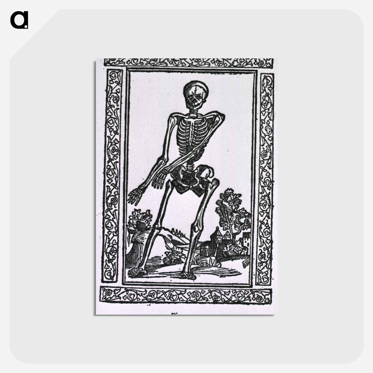 アートポストカード-Human Skeleton
 - 国立医学図書館 Postcard.