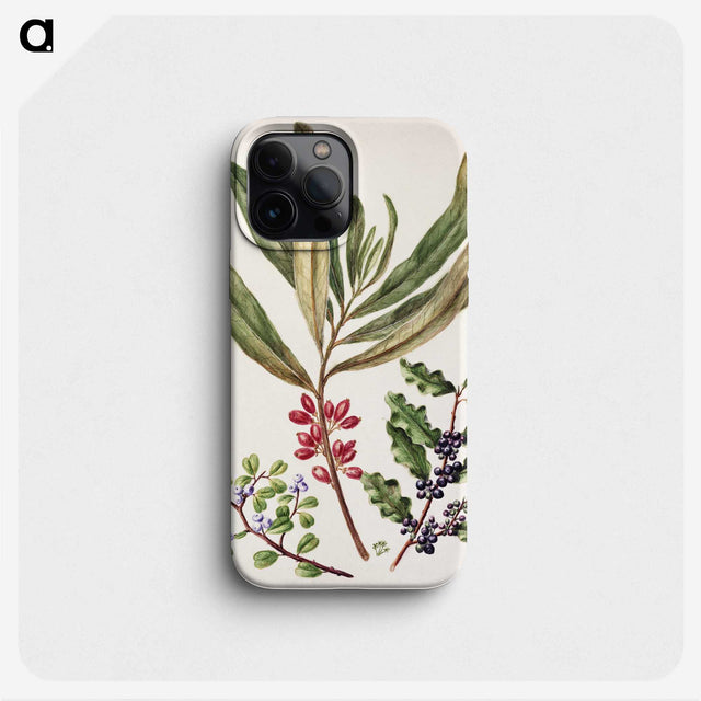 1-84_Native-Flowering-Plants-of-New-Zealand_phone