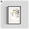 アートポスター-Hondo Copper Pheasant
 - 鳥類図鑑 Poster.