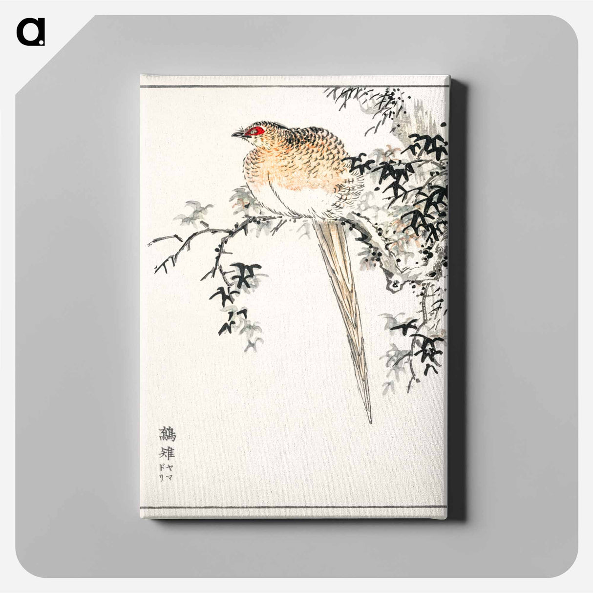 アートパネル-Hondo Copper Pheasant
 - 鳥類図鑑 Canvas.