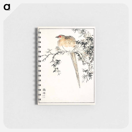 アートメモ帳-Hondo Copper Pheasant
 - 鳥類図鑑 Memo.