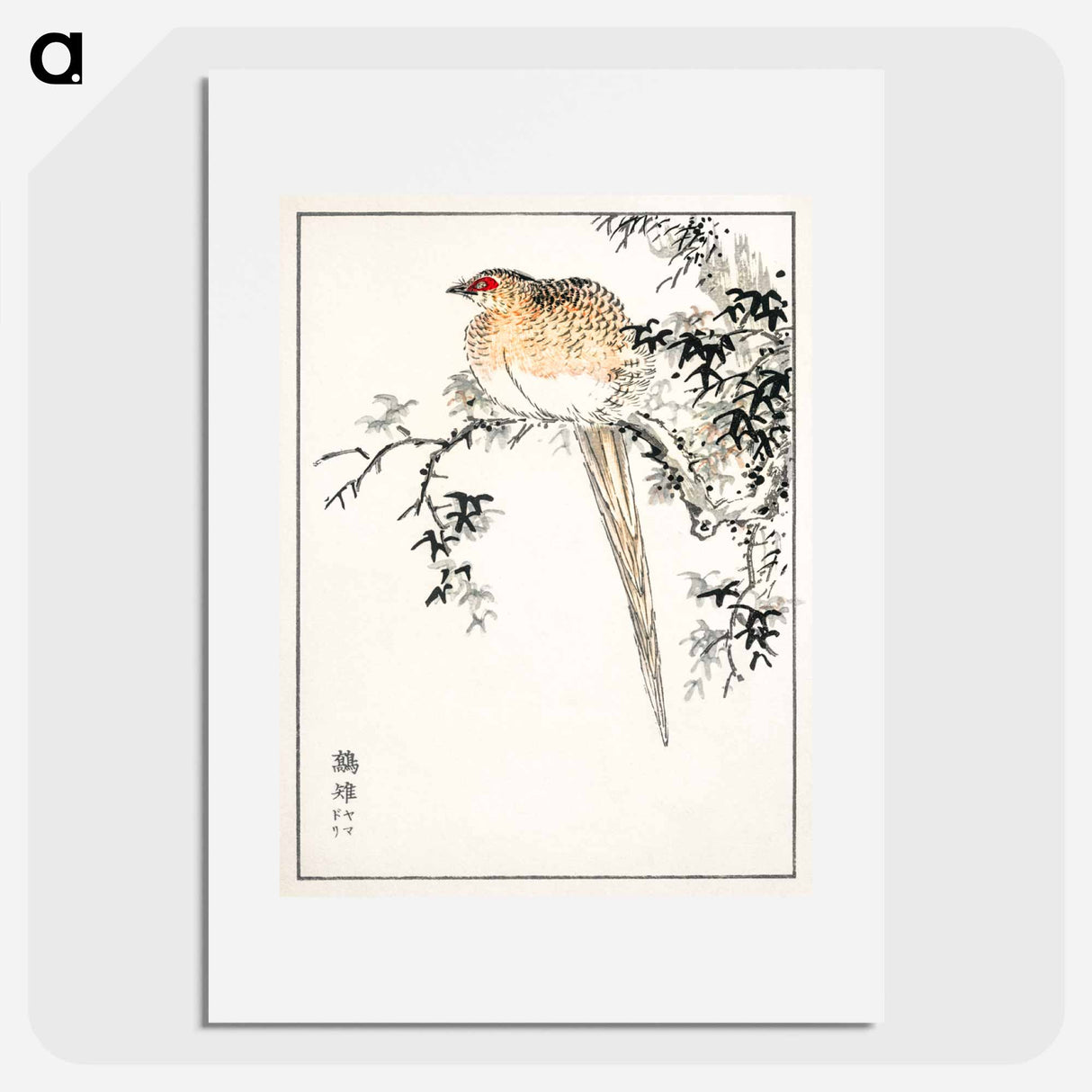 アートポスター-Hondo Copper Pheasant
 - 鳥類図鑑 Poster.
