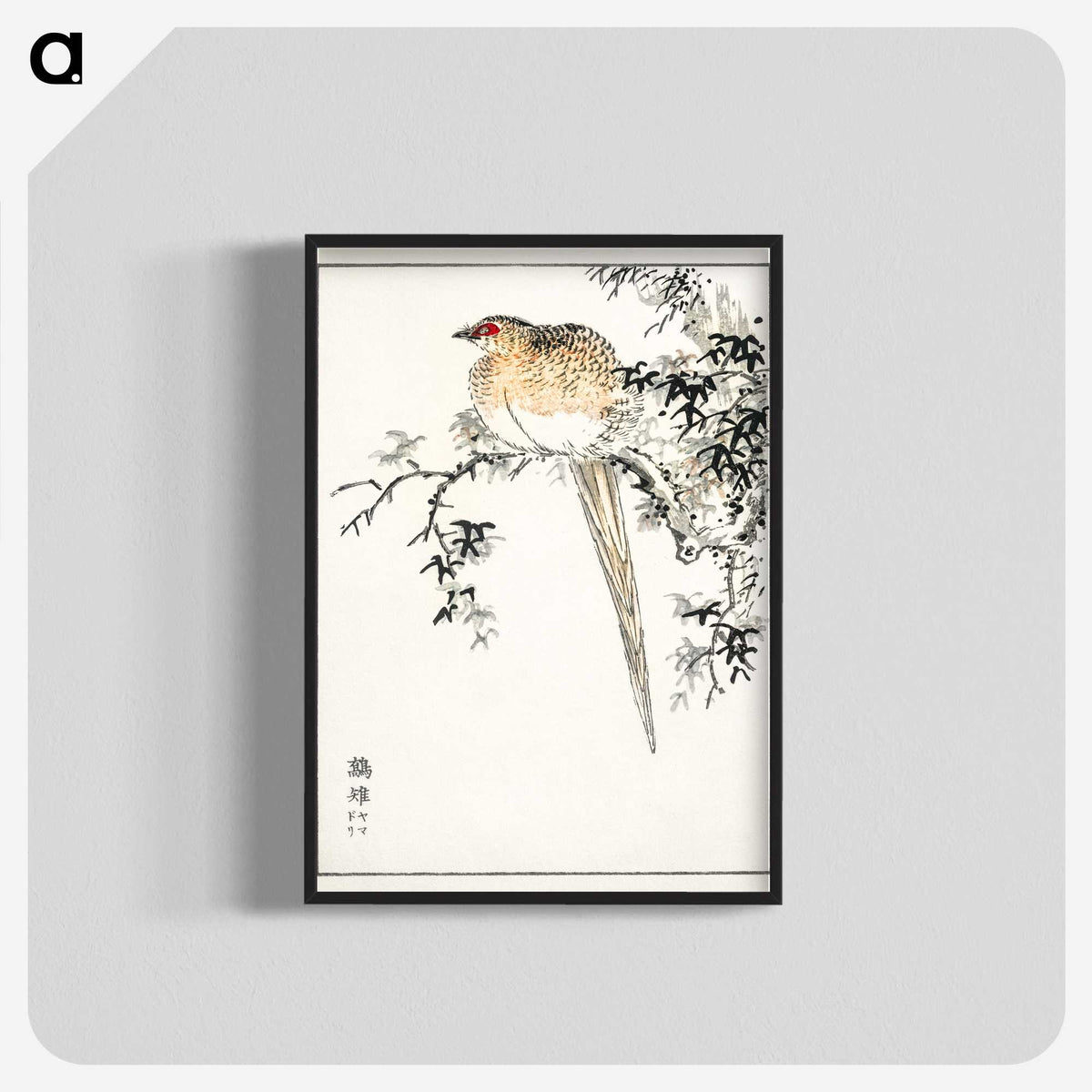 1-84_Pictorial-Monograph-of-Birds_blk-crop