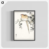 1-84_Pictorial-Monograph-of-Birds_blk-crop