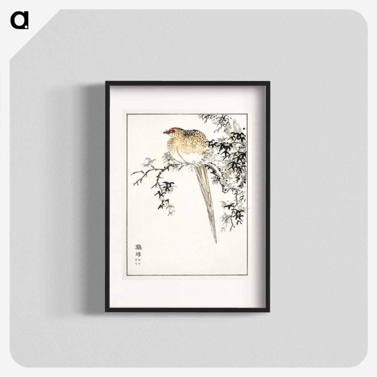 1-84_Pictorial-Monograph-of-Birds_blk