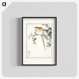 1-84_Pictorial-Monograph-of-Birds_blk