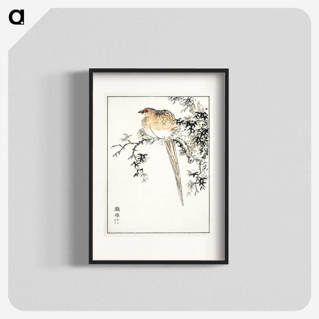 1-84_Pictorial-Monograph-of-Birds_blk