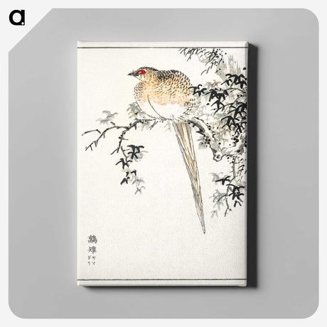 1-84_Pictorial-Monograph-of-Birds_canvas