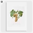 1-84_Pomona-Italiana_picture