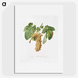 1-84_Pomona-Italiana_picture