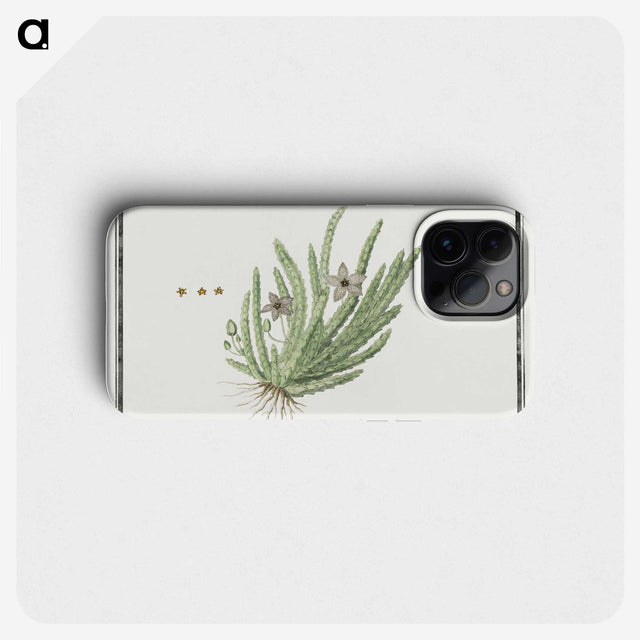 1-84_Robert-Jacob-Gordon_phone